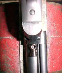 guninvise.JPG (170309 bytes)