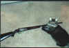 A pair of pest control devices