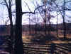 The sinkhole that became a mass grave. I think this is also the original fence.
