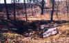 A close-up of the sinkhole.